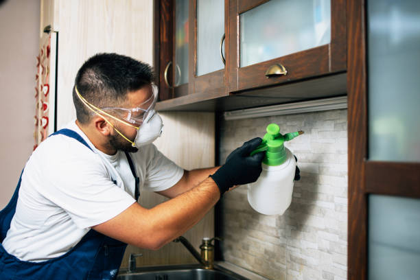Best Mosquito Control Services  in Petaluma, CA