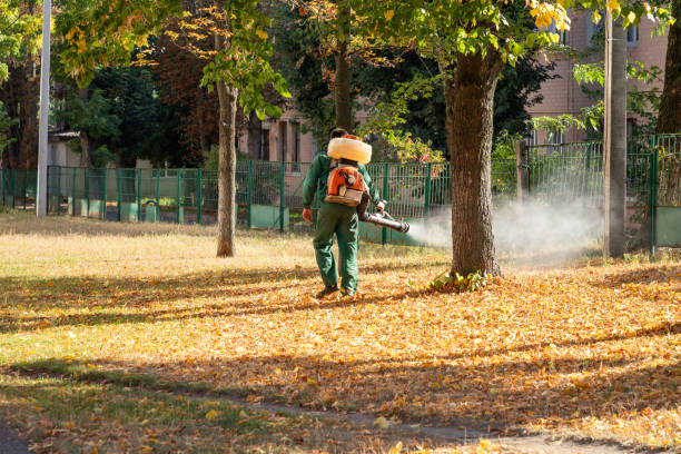 Trusted Petaluma, CA Pest Control Experts