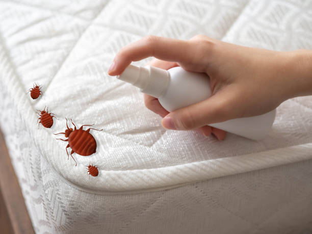  Petaluma, CA Pest Control Pros