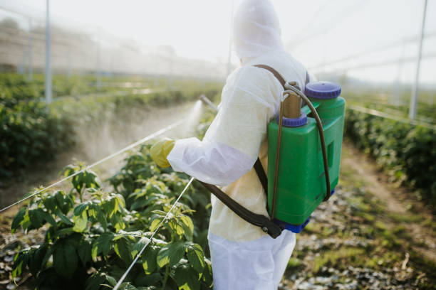 Best Insect Control  in Petaluma, CA